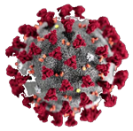 CoronaVirus 