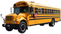 School Bus 